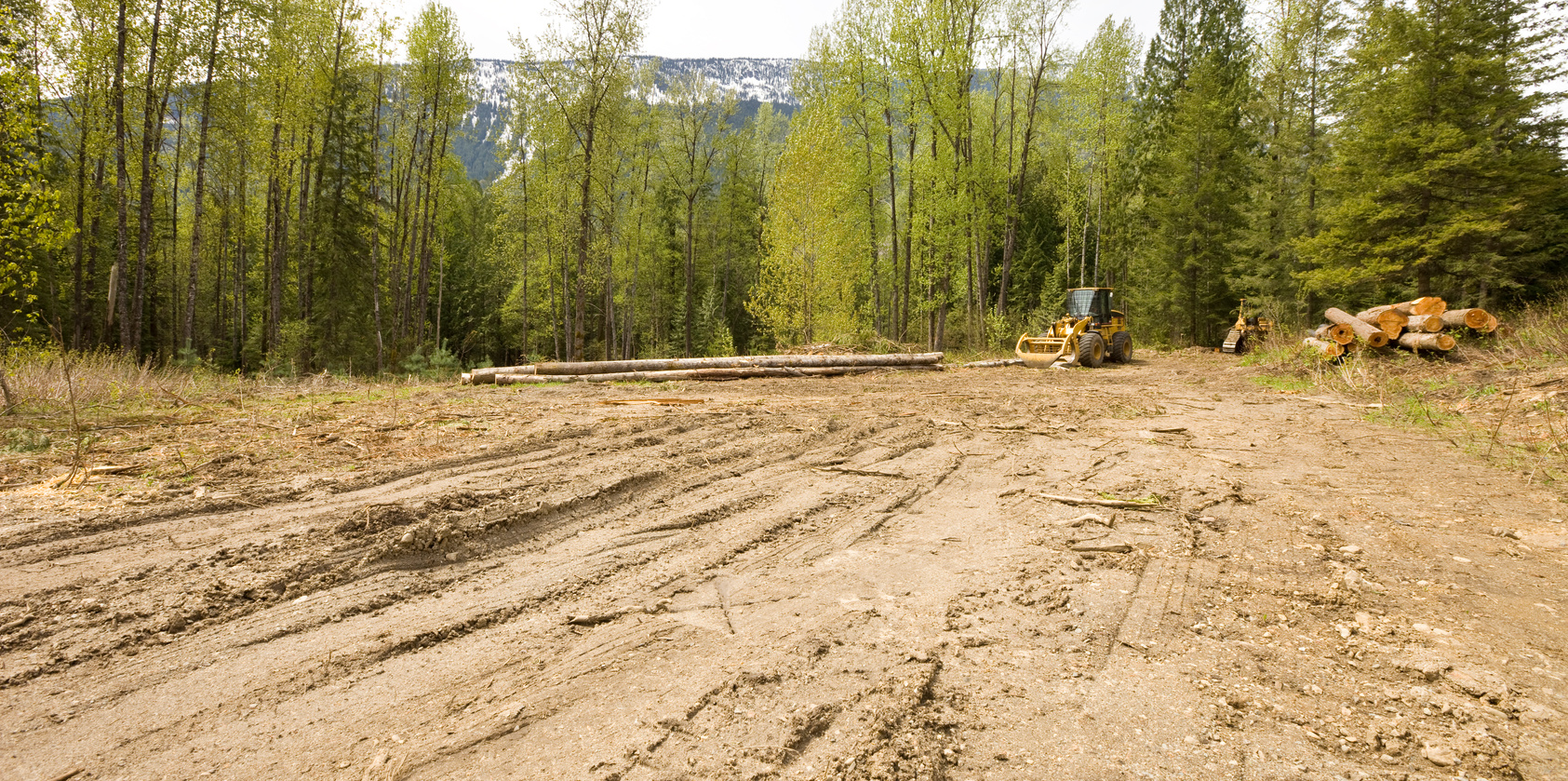 Land clearing, Deforestation