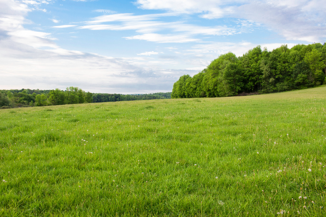 Rolling Mountain Plains (Mostly Land)